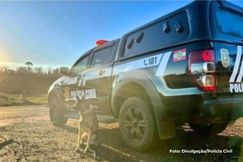 Com ajuda do K9 (Cão farejador), operação Estrangulamento cumpriu 16 mandados em Garuva