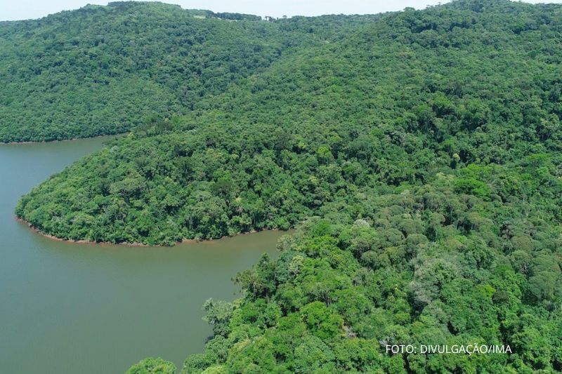 Câmara aprova novas regras para licenciamento ambiental de obras estratégicas
