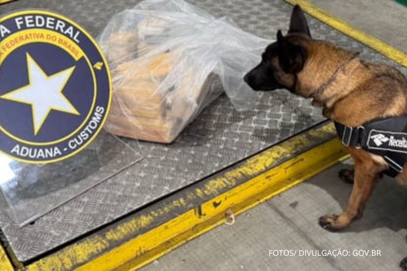 Cão farejador localiza 17 kg de cocaína avaliados em R$ 4 milhões no Porto de Itapoá