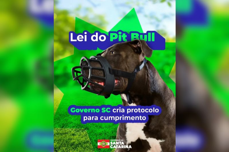 SC proíbe criação e circulação de pitbulls e raças derivadas após decreto estadual
