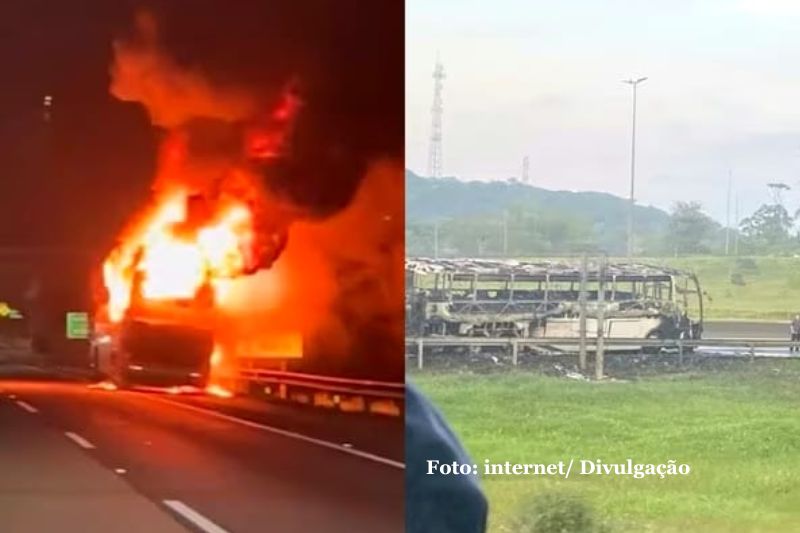 Incêndio destrói ônibus da equipe de natação de Joinville na BR-101