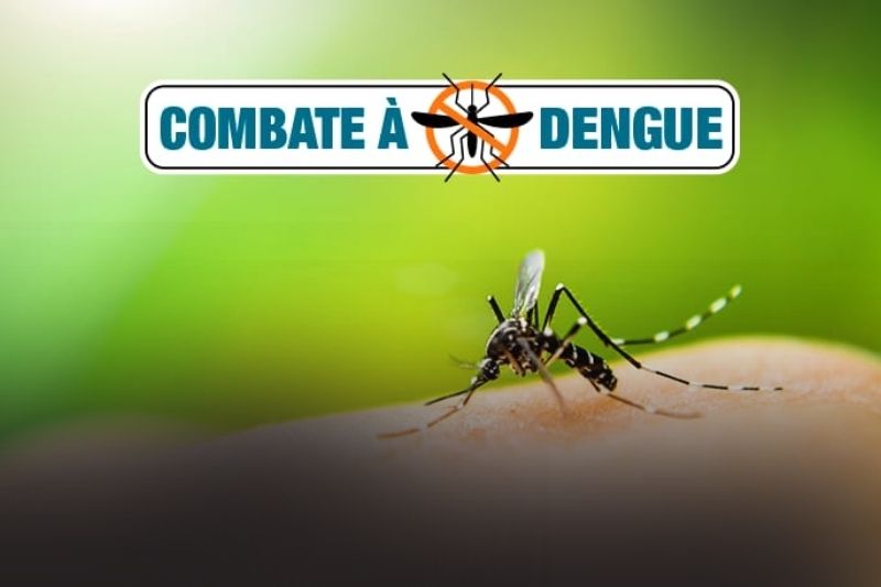 Escolas de Itapoá recebem ação preventiva contra o mosquito da dengue