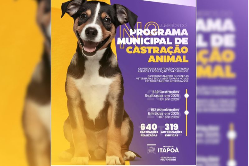Programa de castração já soma 640 procedimentos e segue aberto em Itapoá