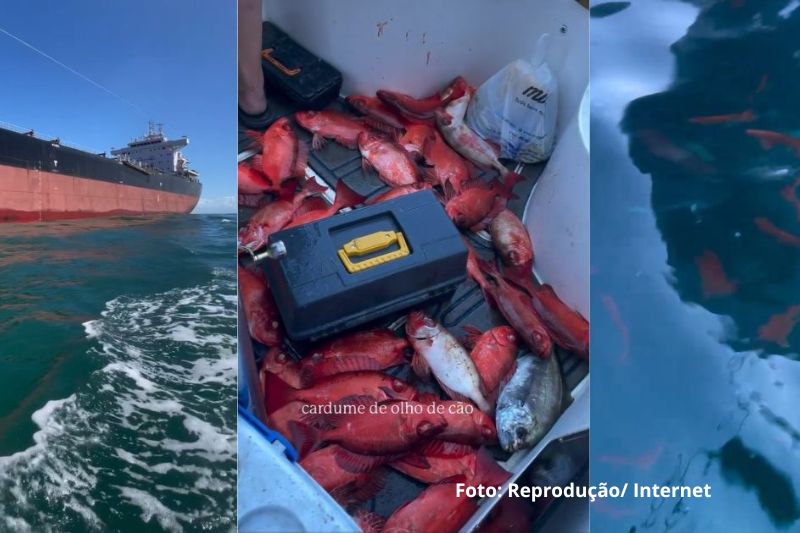 Cardume surpreende pescadores no Litoral Norte e transforma pescaria em cena rara no mar