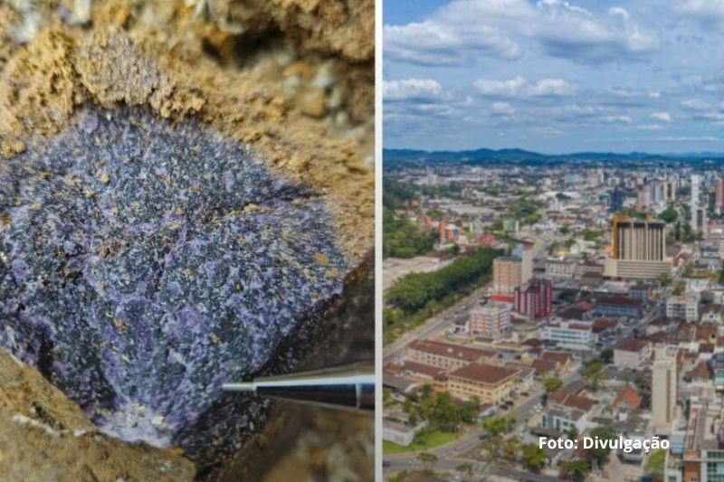 Joinville e Garuva entram no mapa nacional de potencial para extração de “terras raras”