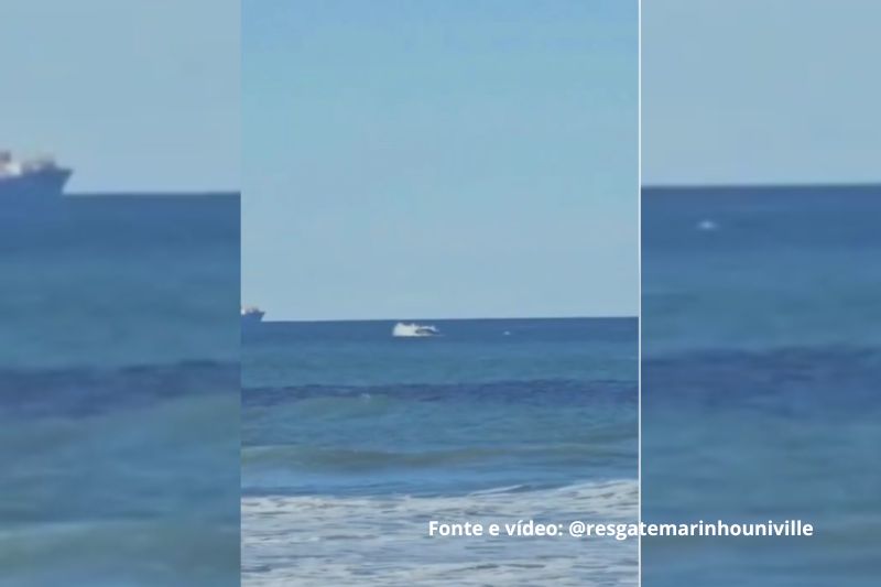 Baleia franca é avistada em São Francisco do Sul por equipe do mar