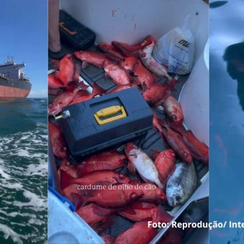 Cardume surpreende pescadores no Litoral Norte e transforma pescaria em cena rara no mar