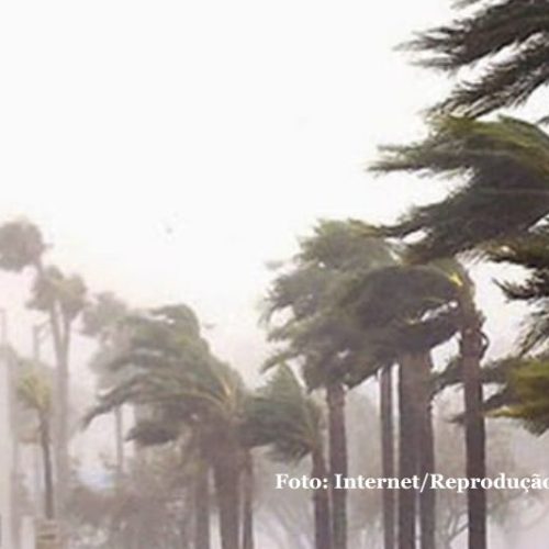 Dois ciclones devem atingir Santa Catarina nesta semana com ventos acima de 100 km/h