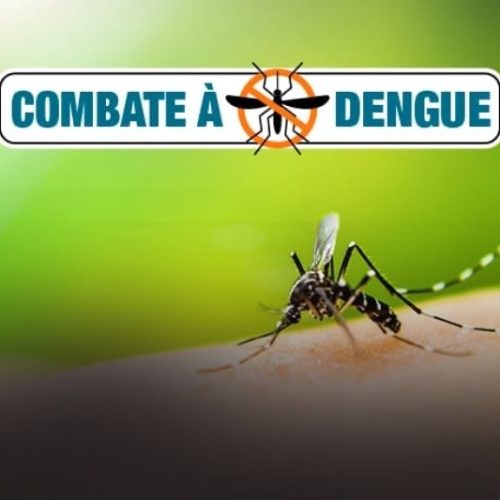 Escolas de Itapoá recebem ação preventiva contra o mosquito da dengue