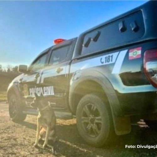 Com ajuda do K9 (Cão farejador), operação Estrangulamento cumpriu 16 mandados em Garuva