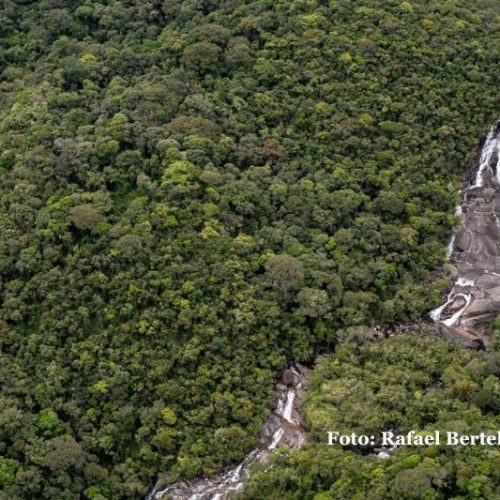 ICMBio se posiciona sobre proposta de parque nacional entre SC e PR