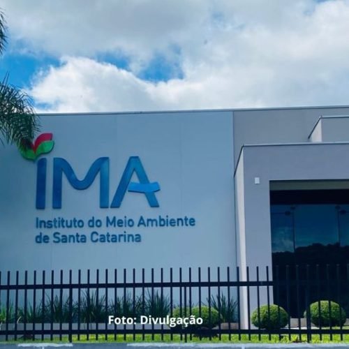 IMA