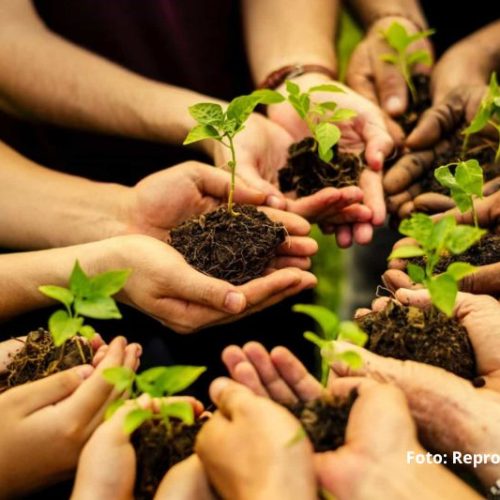 ADEA promove ações de conscientização ambiental durante o Mês do Meio Ambiente em Itapoá