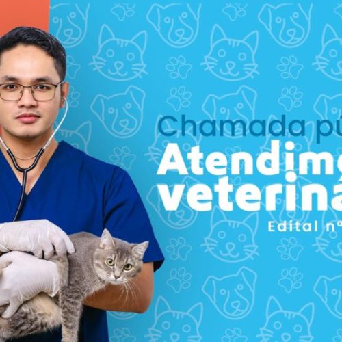 Itapoá abre credenciamento para clínicas veterinárias com atendimento 24h