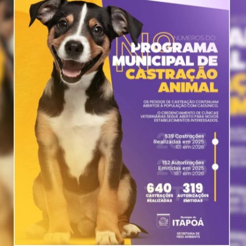 Programa de castração já soma 640 procedimentos e segue aberto em Itapoá