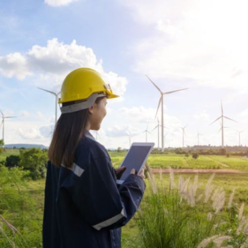 Itapoá abre seleção para Técnico de Meio Ambiente com salário de R$ 4,7 mil