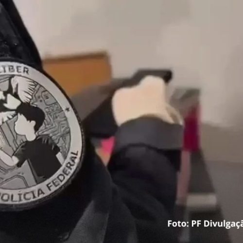 Operação internacional contra exploração infantil resgata três vítimas em Santa Catarina