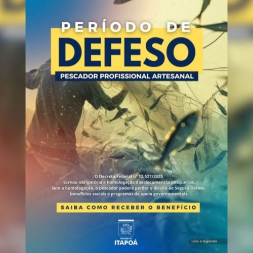 Pescadores devem homologar documentos para garantir acesso ao Seguro-Defeso