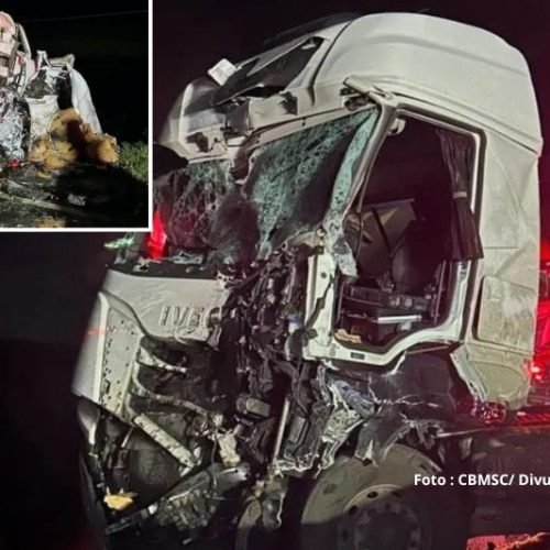COLISÃO FRONTAL ENTRE DOIS CAMINHÕES DEIXA UM MORTO E OUTRO FERIDO NA SC-416, EM GARUVA