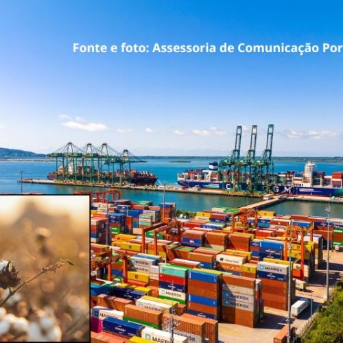 Porto Itapoá recebe certificação nacional pelas boas práticas no armazenamento e movimentação do algodão