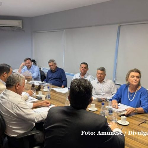 Prefeitos da região escolhem novos presidentes da AMUNESC e do CIM-AMUNESC para 2026