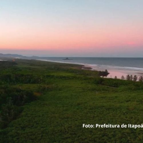Prefeitura de Itapoá pretende comprar mais de 15 hectares de Mata Atlântica para ampliar áreas de preservação