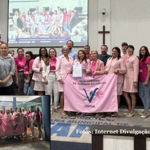 Rede Feminina de Combate ao Câncer de Itapoá é homenageada na Câmara de Vereadores
