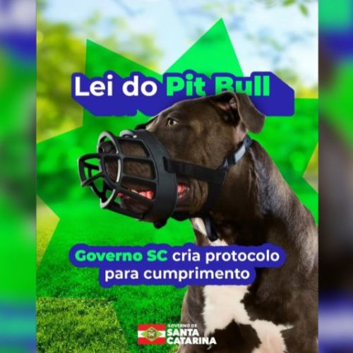 SC proíbe criação e circulação de pitbulls e raças derivadas após decreto estadual
